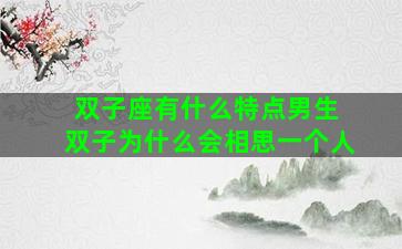 双子座有什么特点男生 双子为什么会相思一个人